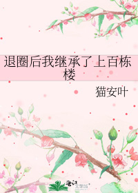 退圈后我继承了上百栋楼