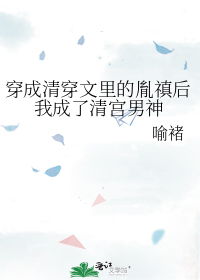穿成清穿文里的胤禛后我成了清宫男神