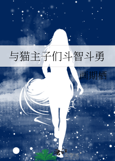 与猫主子们斗智斗勇