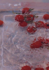 明珠（硬汉软妹1V1）