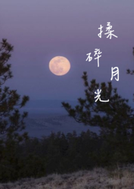 揉碎月光（骨科h）