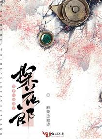 穿书后她成了探花郎