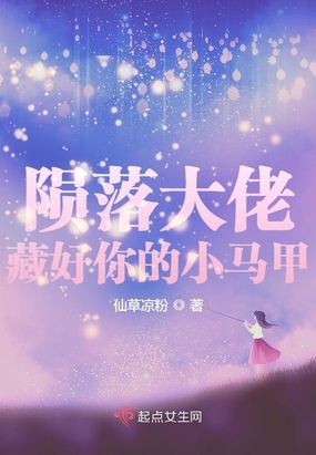 陨落大佬藏好你的小马甲