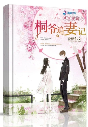 盛世暖婚之桐爷追妻记