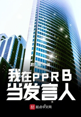 我在PPRB当发言人