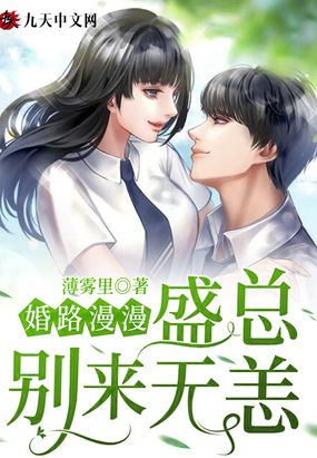 婚路漫漫：盛总,别来无恙