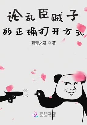 论乱臣贼子的正确打开方式