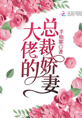 大佬的总裁娇妻