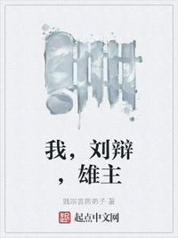 我,刘辩,雄主刘辩